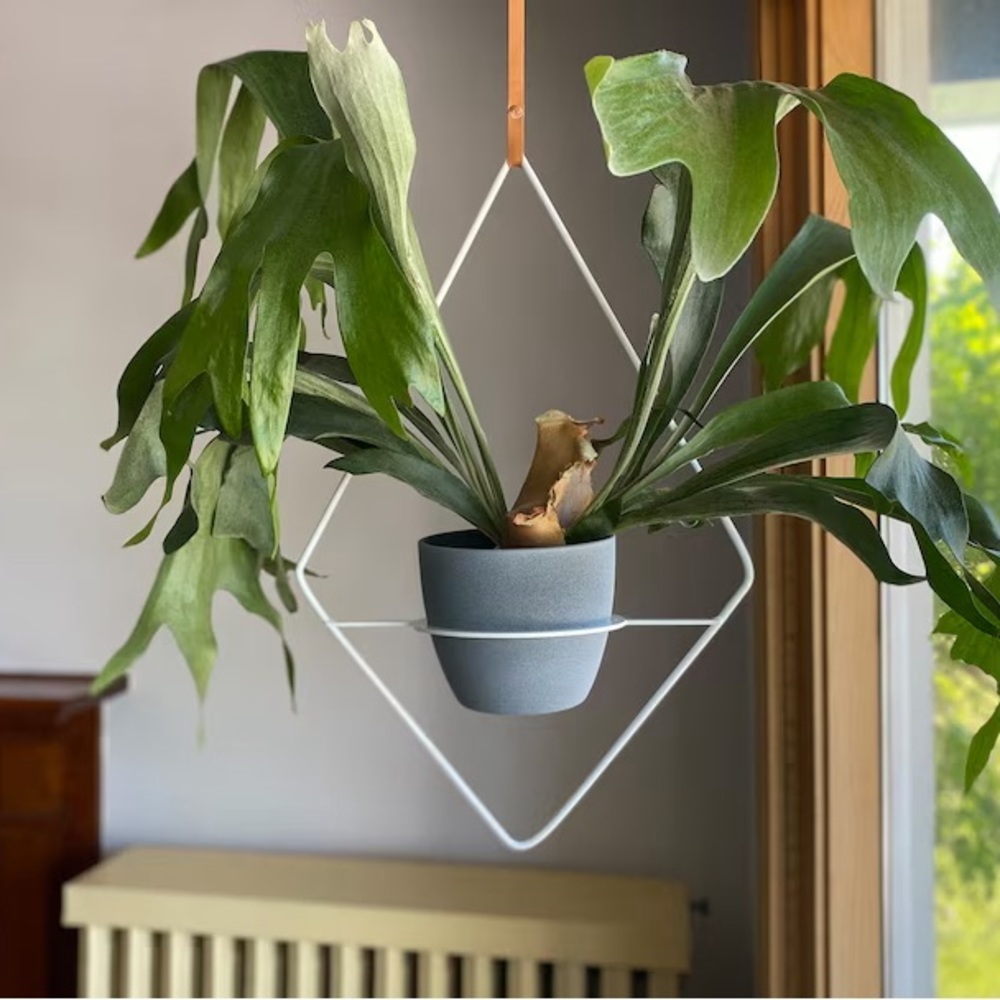 Diamond metal and leather plant hanger